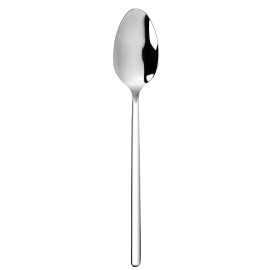 C456_desert-spoon1