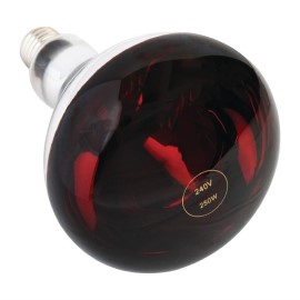 Ampoule chauffante rouge à vis 250W [ag570]